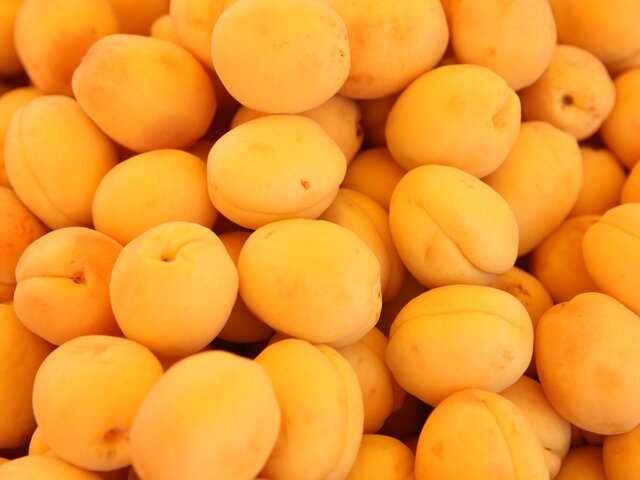 Диетолог рассказала, кому не стоит есть абрикосы