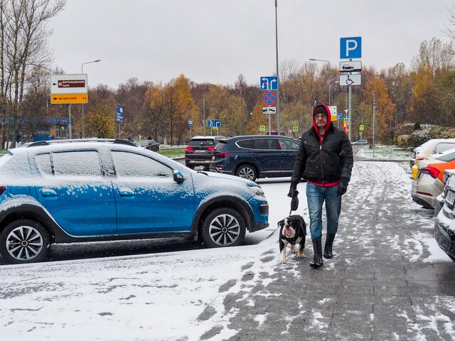 Синоптик заявил, что метеорологическая зима придет в Москву 15 ноября