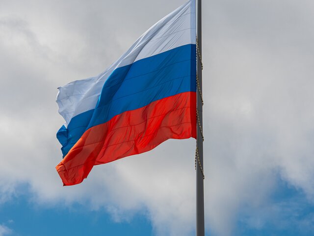 Приобретенного гражданства РФ могут лишить за взятку, хулиганство или мятеж
