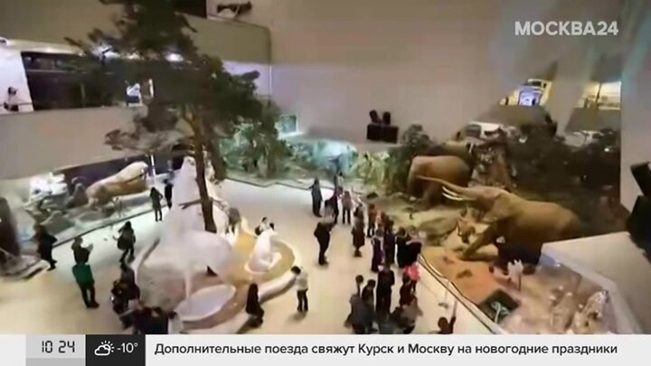 Музейная неделя в москве в декабре