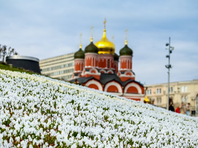 Жителям Москвы рассказали о погоде 9 мая