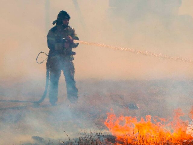 Ситуация с природными пожарами в Курганской области стабилизировалась – ГУ МЧС