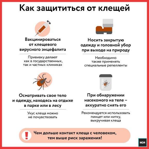 Как вытащить клеща у собаки?