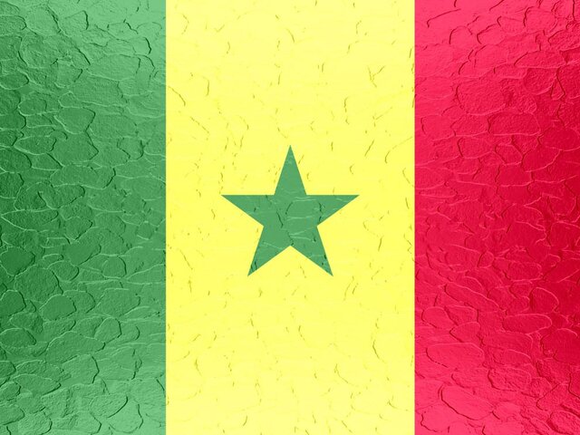 В МИД РФ рекомендовали соотечественникам отказаться от поездок в Сенегал из-за протестов