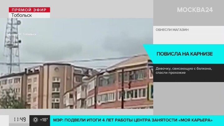 Кто владелец садовода рынка в москве