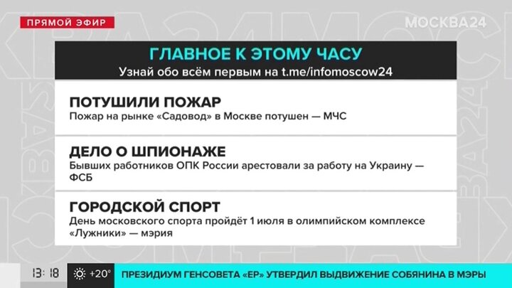 Кто владелец садовода рынка в москве