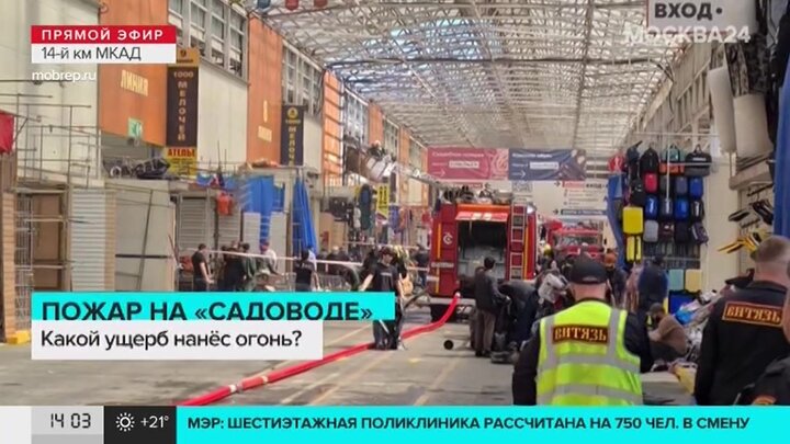 Рынок садовник в москве