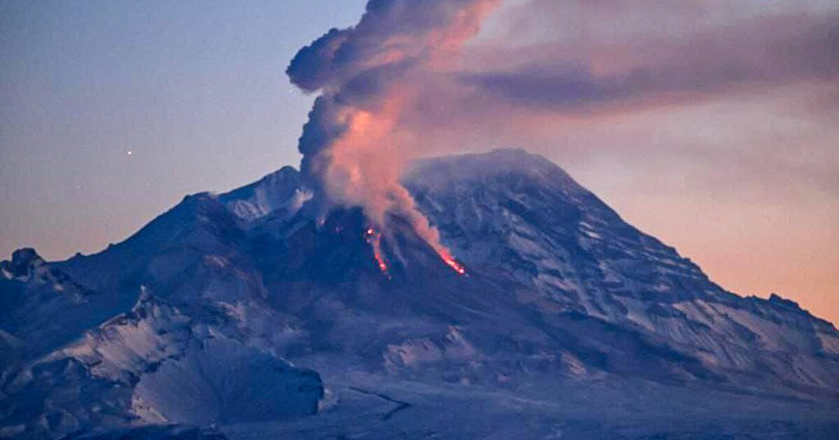 Вулкан шивелуч на камчатке фото