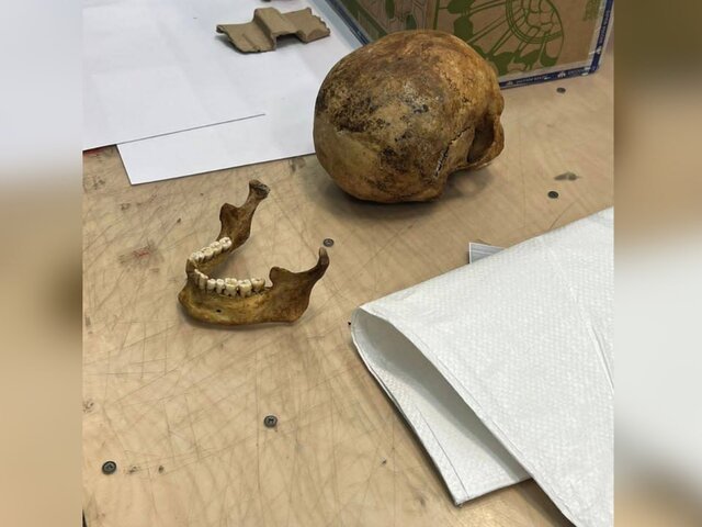 Во Внукове в отправленной в США посылке обнаружили человеческий череп