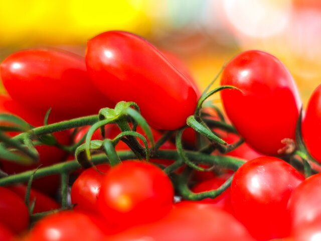Нутрициолог рассказал, от каких проблем со здоровьем защитят помидоры