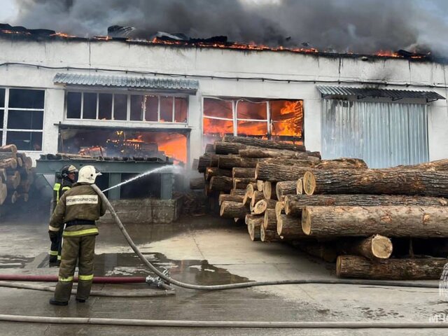 Пожар на лесоперерабатывающем предприятии в Приморье ликвидирован