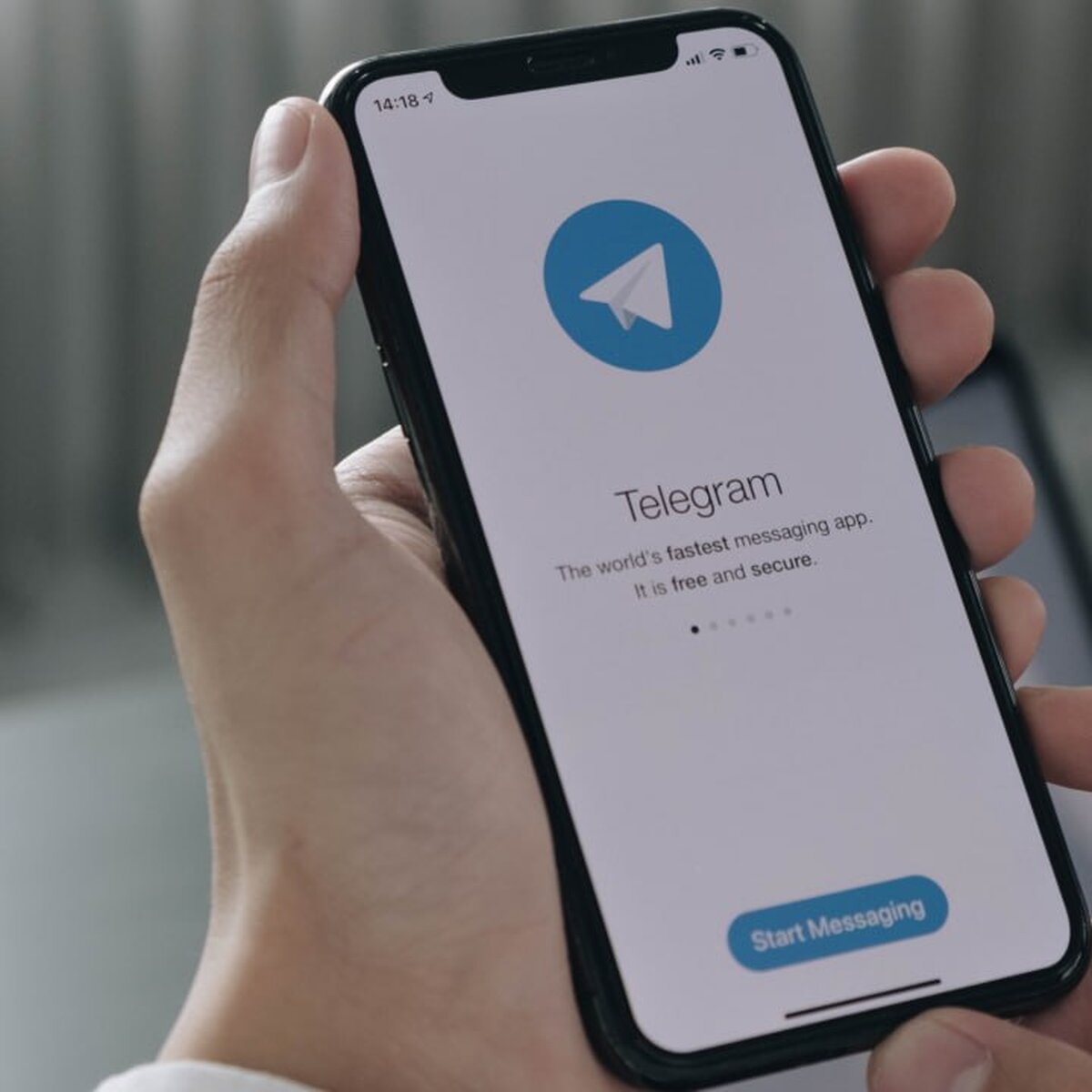 В Telegram появилась функция просмотра времени, когда было прочитано  сообщение – Москва 24, 14.03.2023