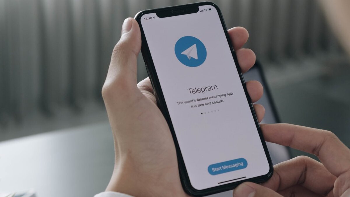 В Telegram появилась функция просмотра времени, когда было прочитано  сообщение – Москва 24, 14.03.2023