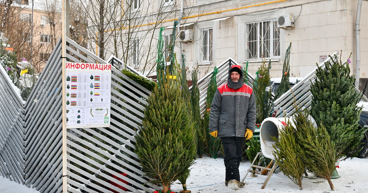 Елочный базар в москве