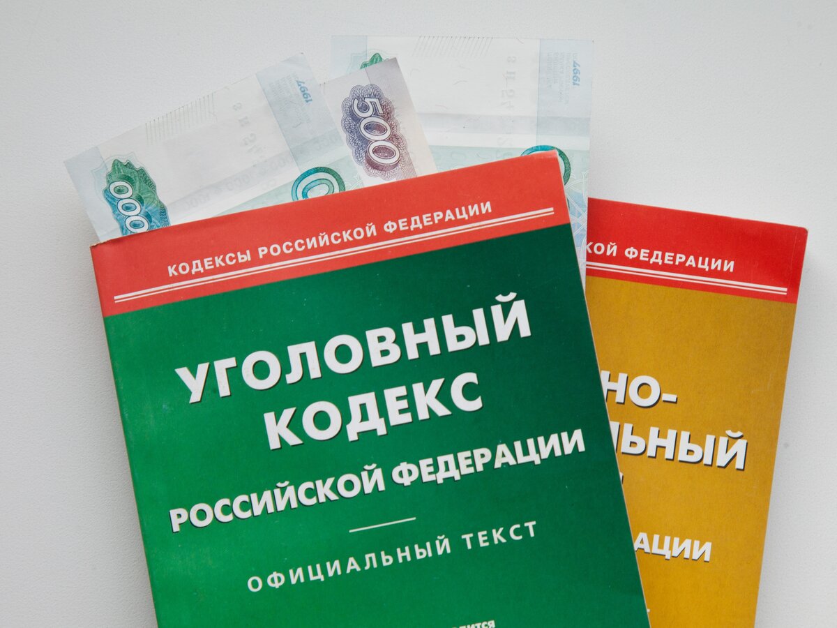 В России разработали новую статью Уголовного кодекса о налоговом  мошенничестве – Москва 24, 22.12.2022