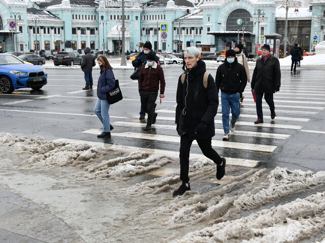 Новый год начнется в Москве с рекордного тепла – синоптик