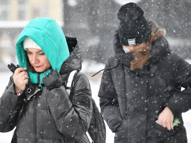 Москвичей предупредили о снегопадах и сильном ветре на предстоящей неделе