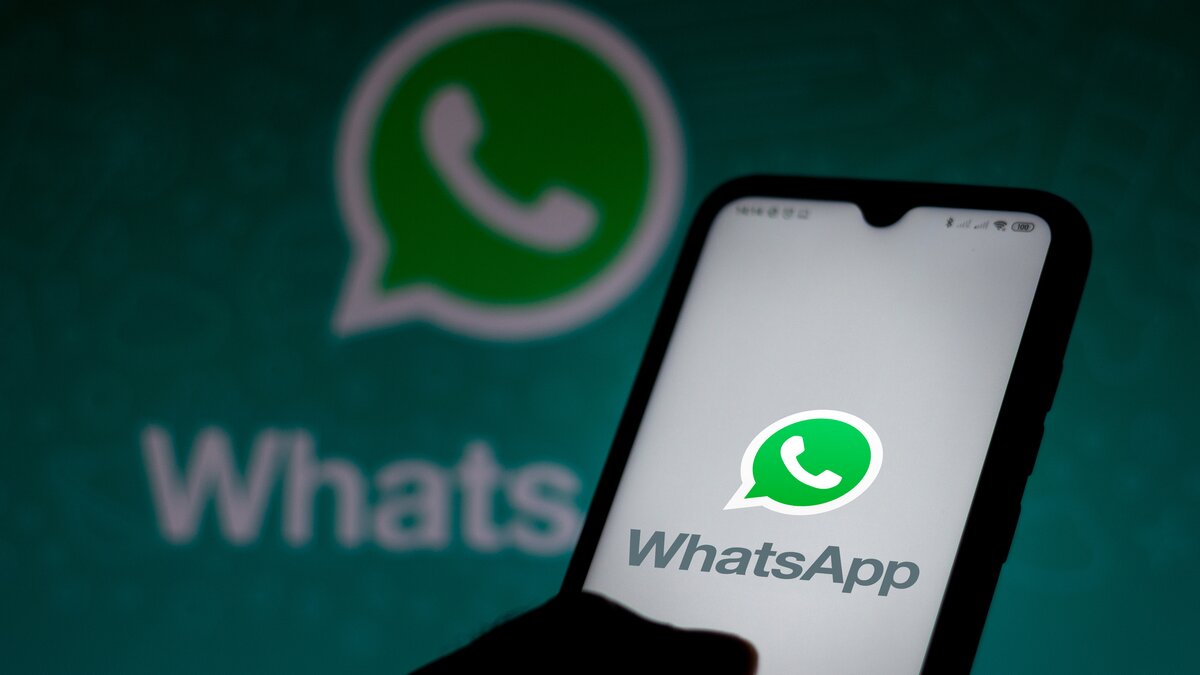 В WhatsApp появилась функция привязки электронной почты к учетным записям –  Москва 24, 21.11.2023