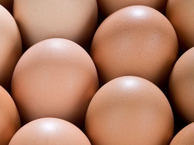 Путин назвал повышение цен на яйца сбоем в работе правительства