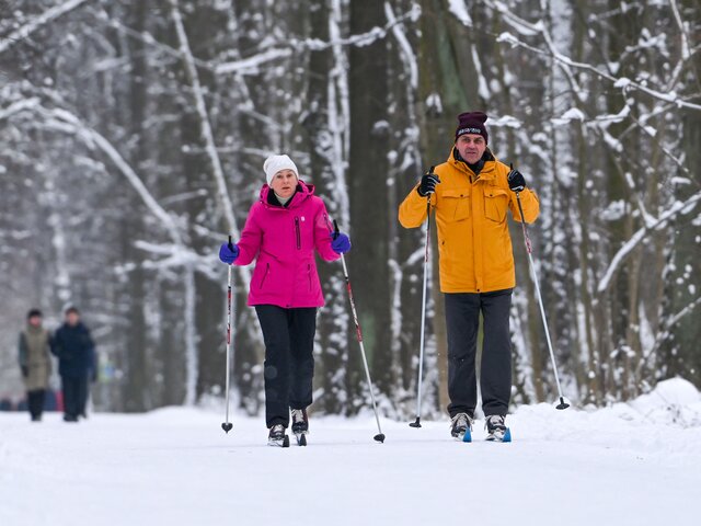 Километры дорог: где можно бесплатно покататься на лыжах в Москве