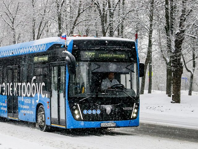 Москвичам рекомендовали пересесть на общественный транспорт из-за снегопада