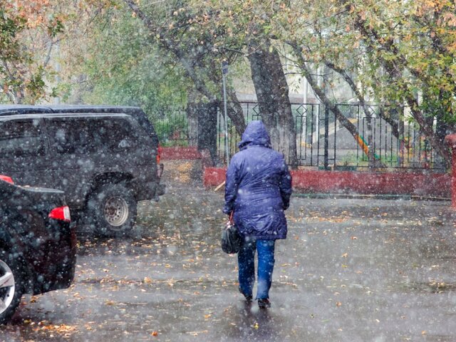 Облачная погода, мокрый снег и дождь ожидаются в Москве в ближайшие дни