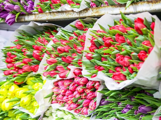 В Ассоциации флористов РФ заявили о подорожании цветов ко Дню учителя на 30%