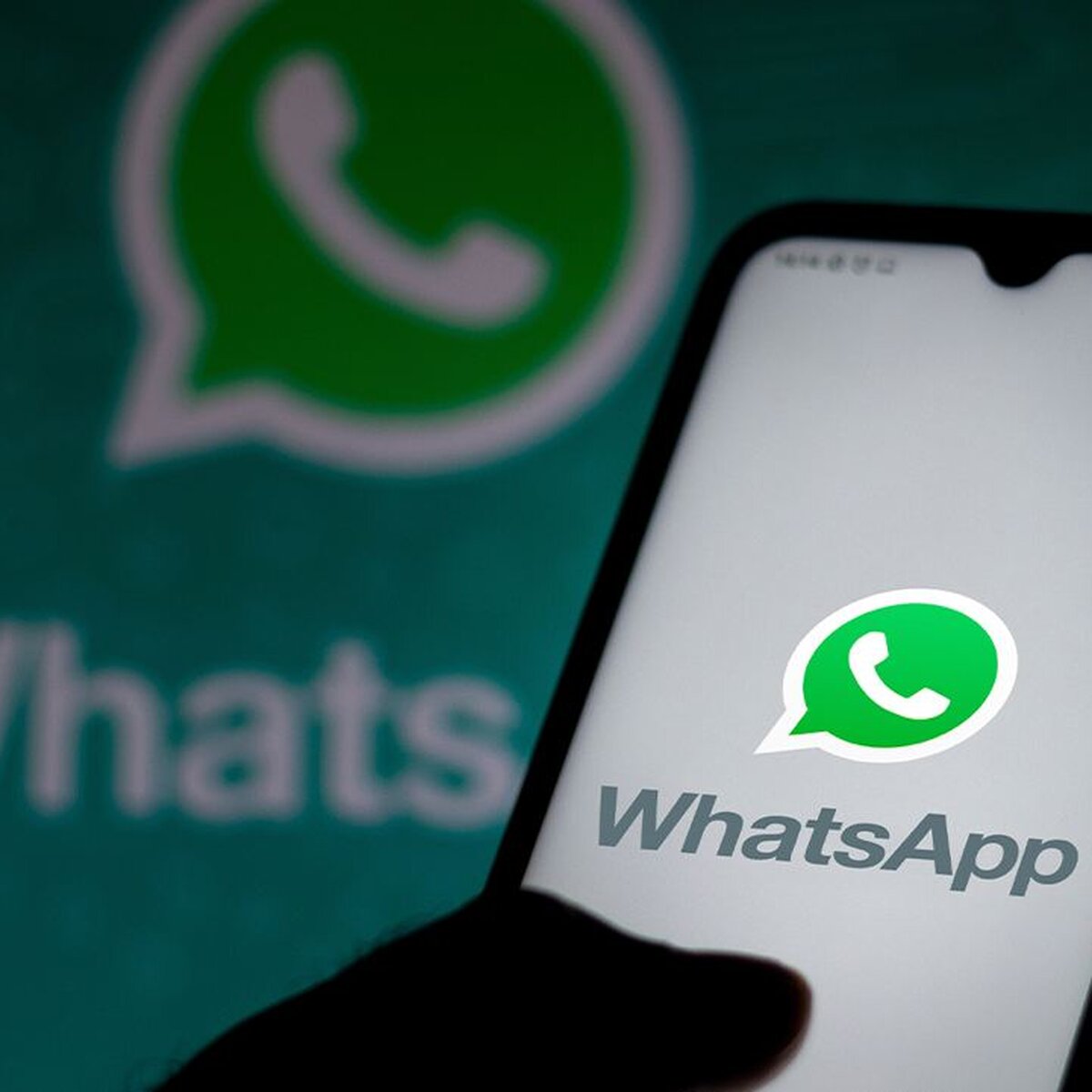 WhatsApp объявил о запуске новой функции – Москва 24, 19.10.2023