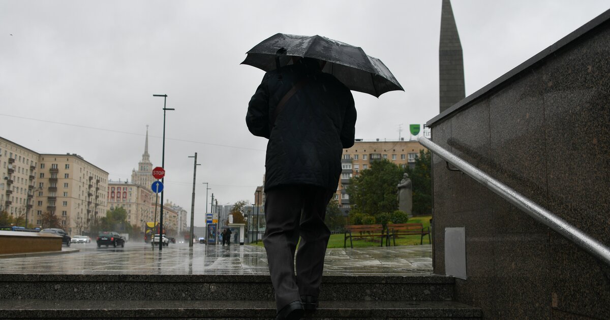 Ветер 19 февраля. Ливень. Дождь в Москве. Ливень в Москве. Ливень фото.