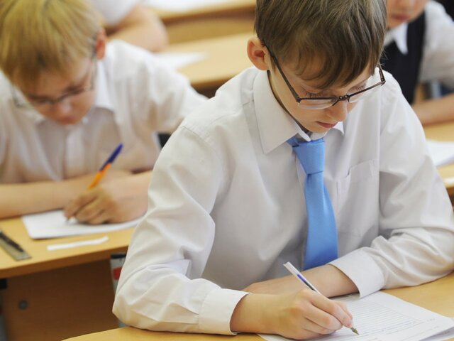 Всероссийских проверочных работ по иностранным языкам в школах РФ не будет