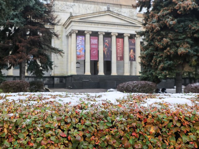 Москвичам рассказали о погоде 31 октября