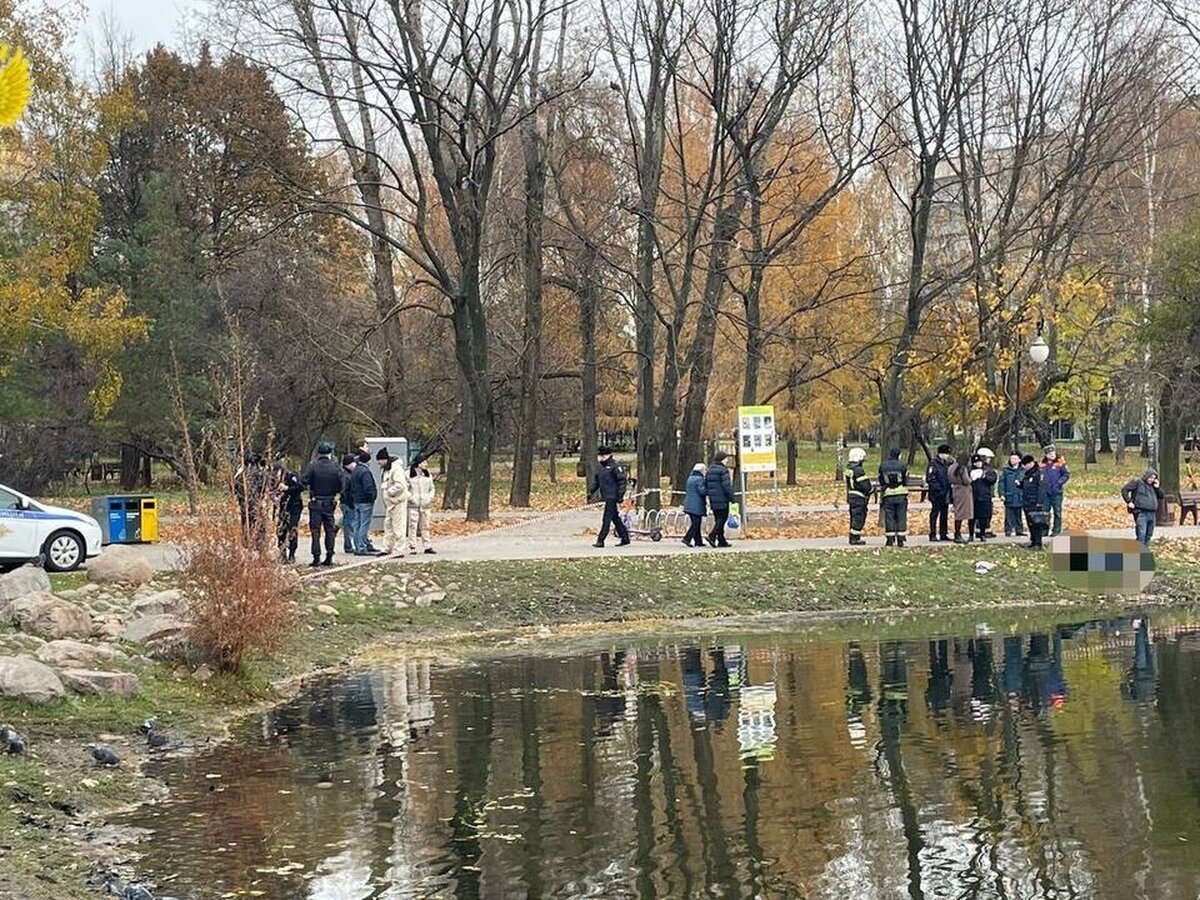 Тело женщины обнаружили в Большом Ангарском пруду на севере Москвы – Москва  24, 03.11.2023