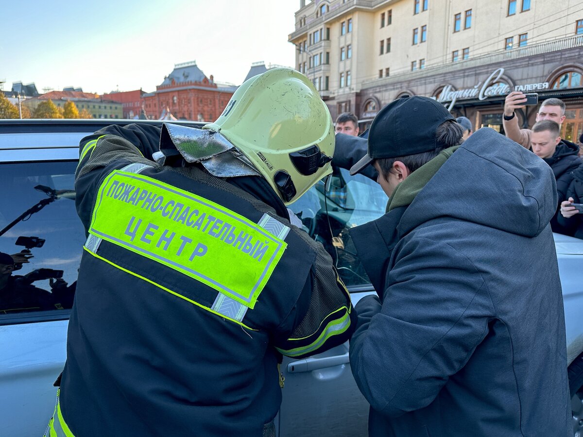 В центре Москвы спасли кота, просидевшего в запертой машине 4 дня – Москва  24, 01.11.2023