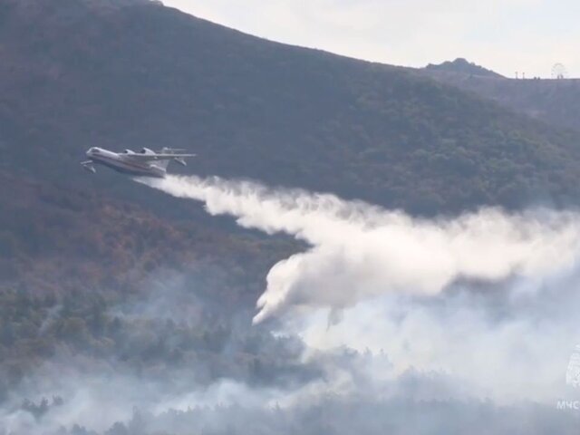 Крупный лесной пожар в Геленджике локализовали