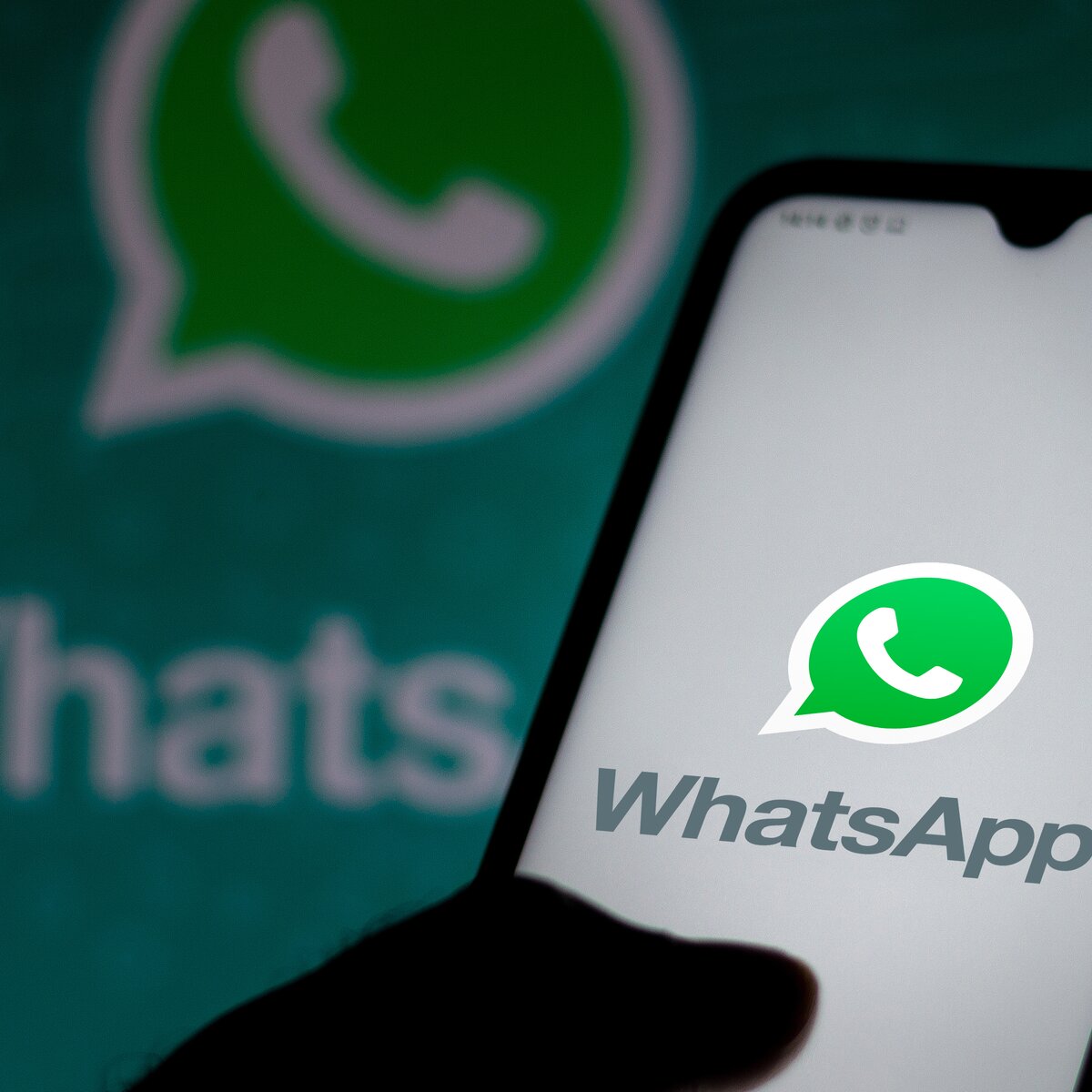 Россиянам разъяснили, при каких условиях WhatsApp в стране заблокируют –  Москва 24, 14.09.2023