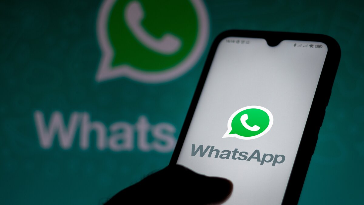 Россиянам разъяснили, при каких условиях WhatsApp в стране заблокируют –  Москва 24, 14.09.2023