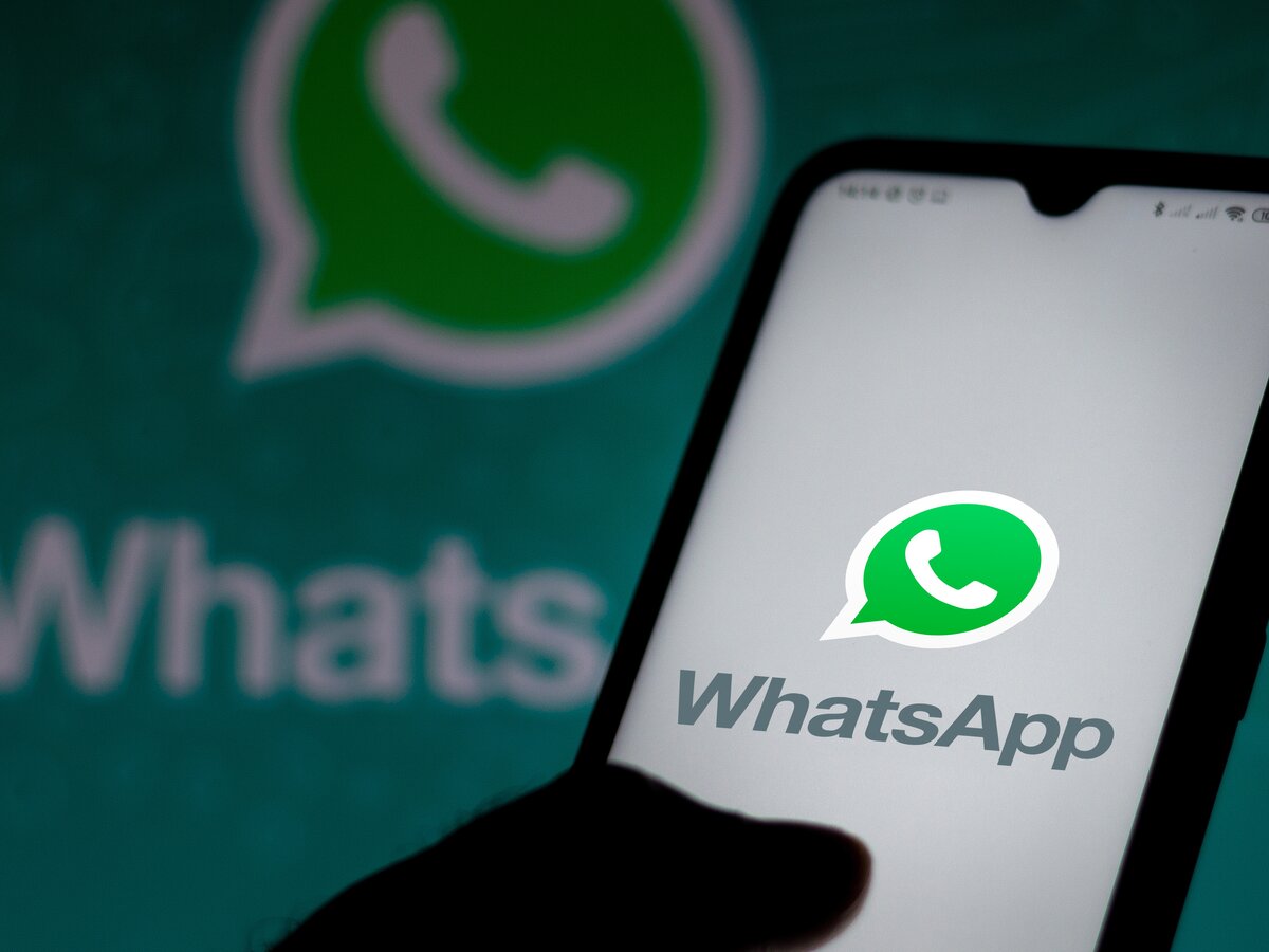 Россиянам разъяснили, при каких условиях WhatsApp в стране заблокируют –  Москва 24, 14.09.2023