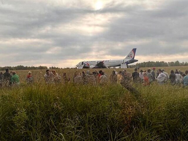 СК изъял черные ящики самолета A320, аварийно севшего под Новосибирском