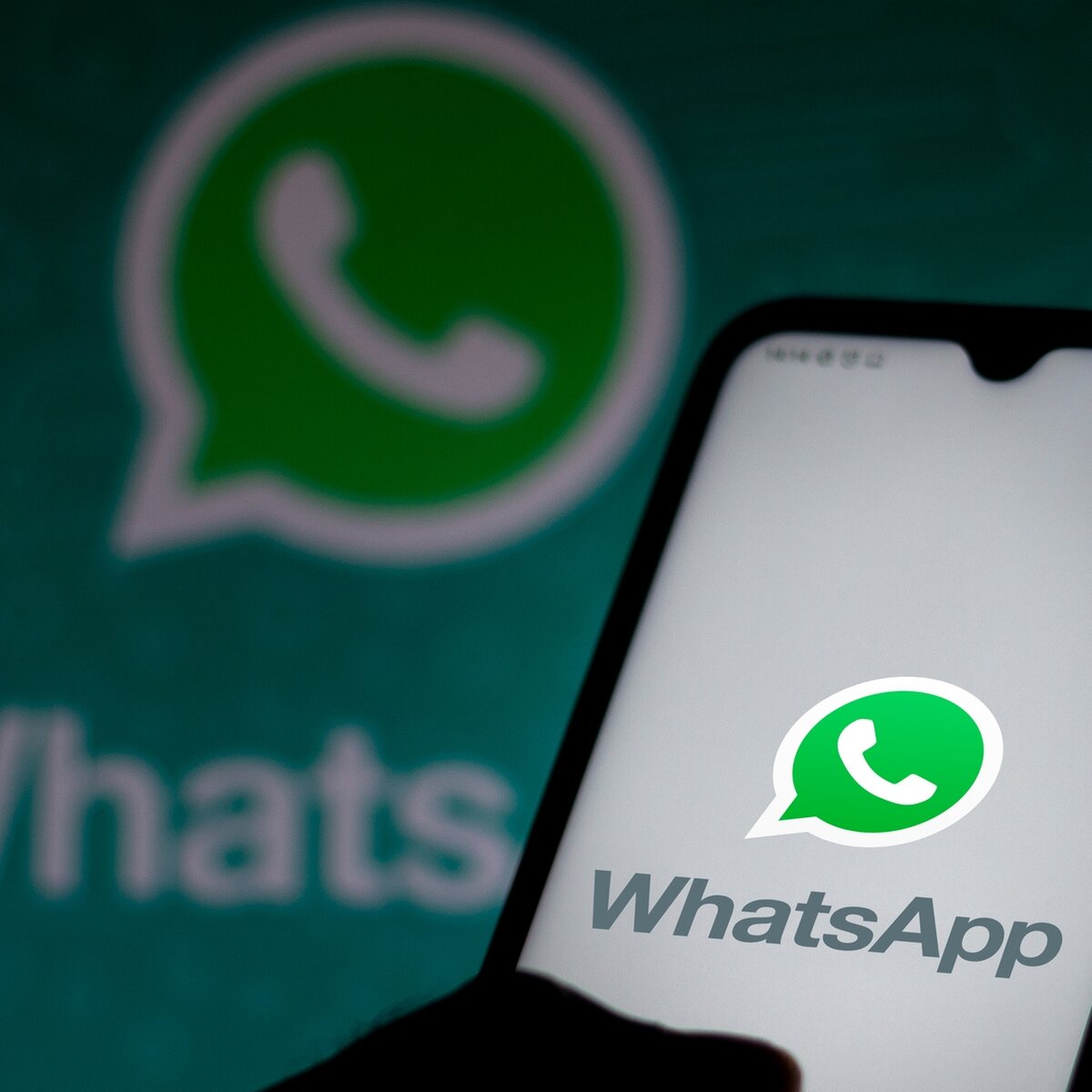 WhatsApp запустил для пользователей функцию создания каналов – Москва 24,  13.09.2023