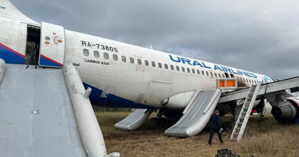 Самолет в поле новосибирск