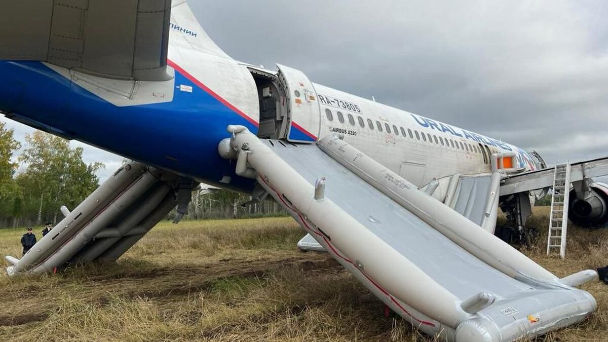 Пассажиры севшего в поле под Новосибирском самолета рассказали, как их  готовили к посадке – Москва 24, 12.09.2023