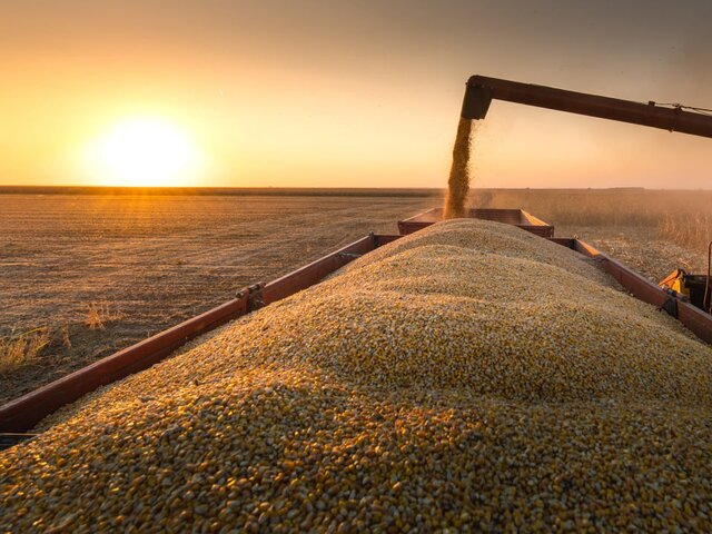 Россия заняла второе место по экспорту всех видов зерна в 2022 году – Минсельхоз