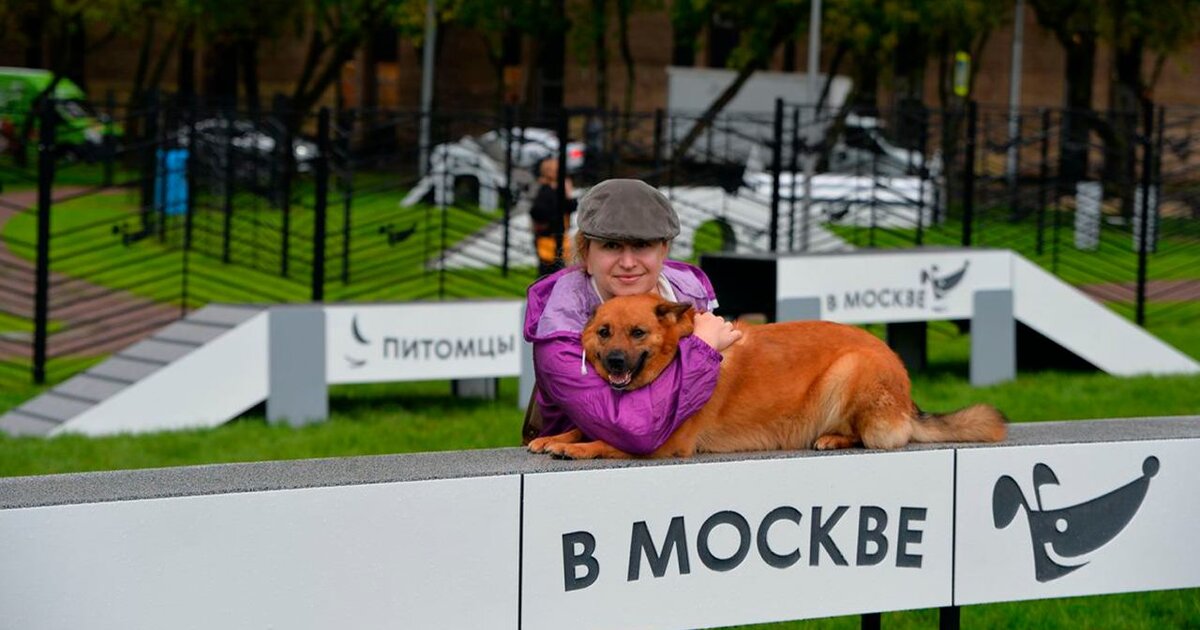 Питомцы в москве площадки. Площадка питомцы в Москве. Собачья площадка на Кольской улице. Новые площадки для собак в Москве. Пет проект.