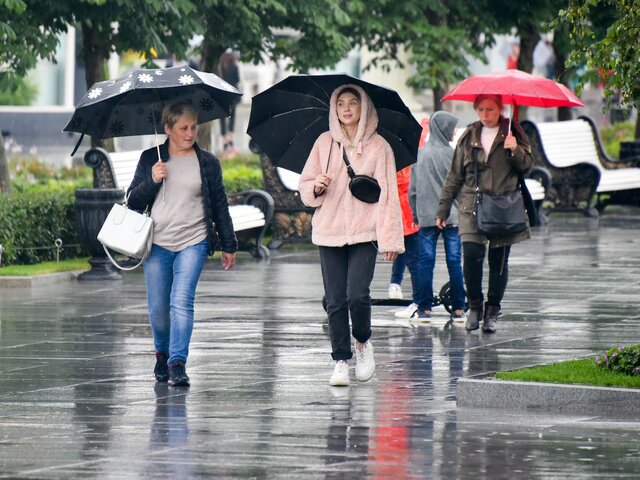 Жителей Москвы предупредили об умеренном дожде 13 июля