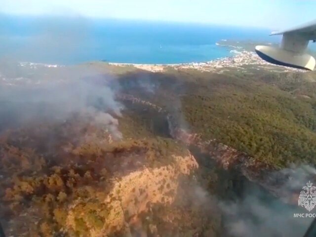 Около 180 га леса сгорело в районе турецкого города Кемер