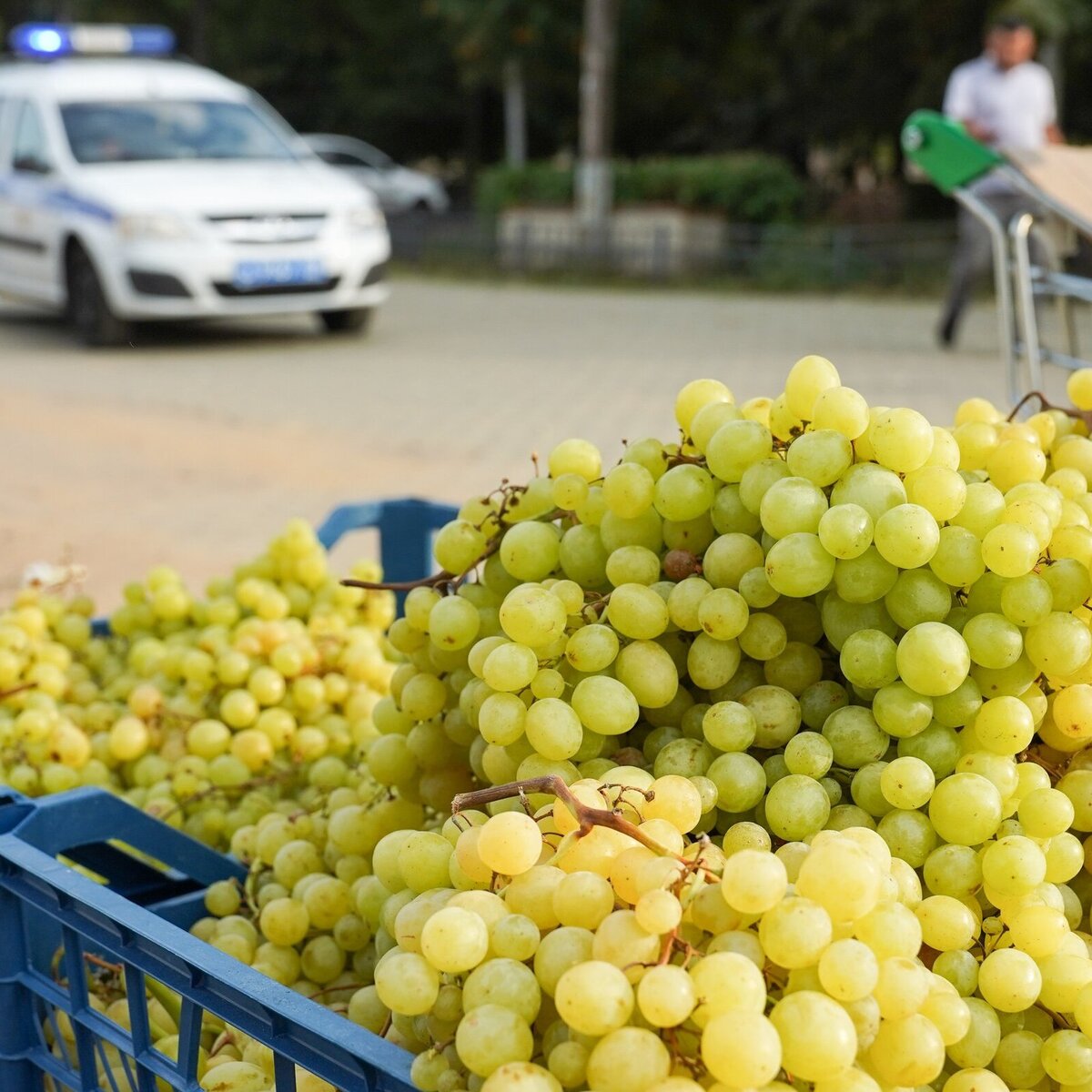 Врач объяснила, почему покупать продукты с рук смертельно опасно – Москва  24, 26.07.2023