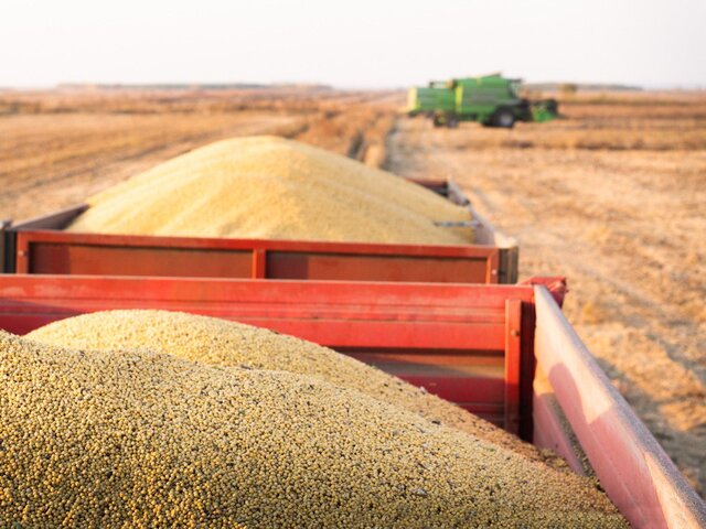 В Кремле заявили, что касающаяся РФ часть зерновой сделки не выполнена