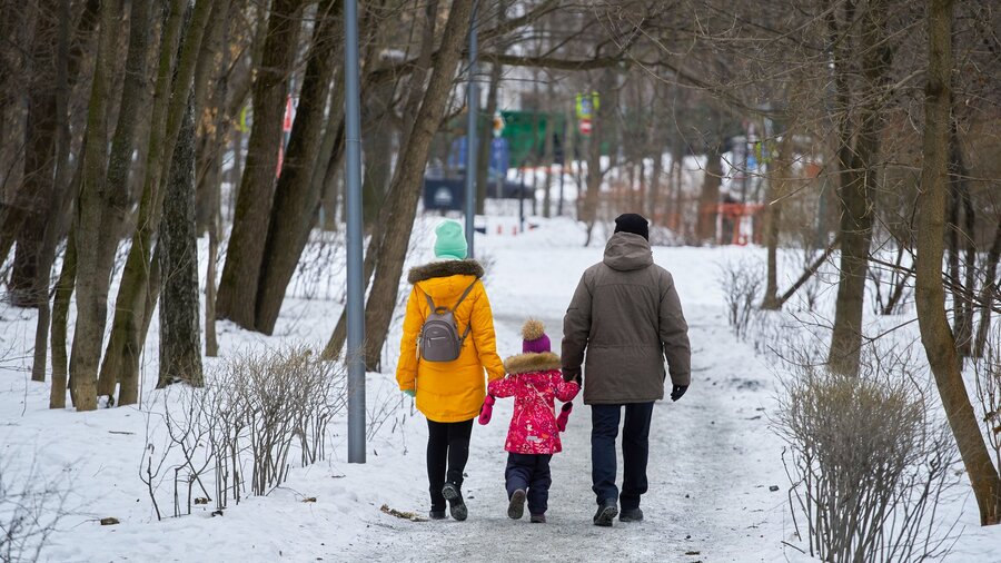 Порывы ветра в секунду