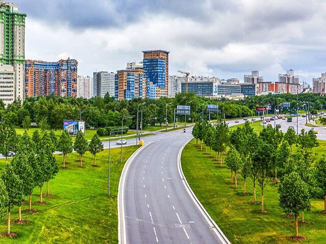 Более 4 тыс деревьев украсили магистрали Москвы в 2023 году