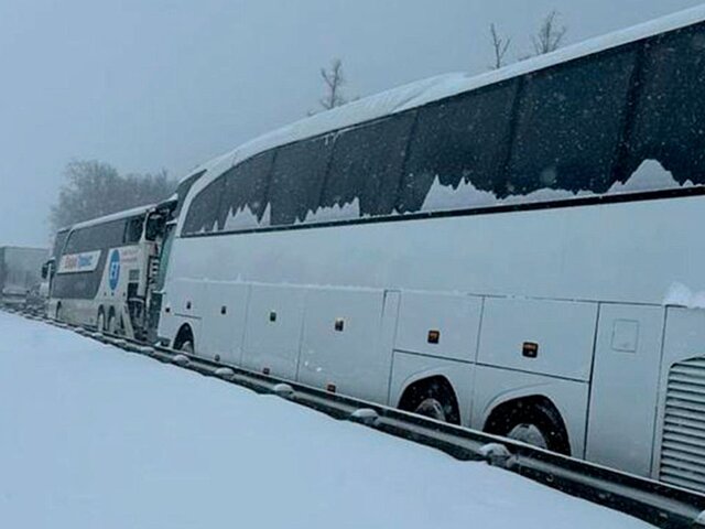 Два рейсовых автобуса столкнулись на трассе М-4 в Подмосковье